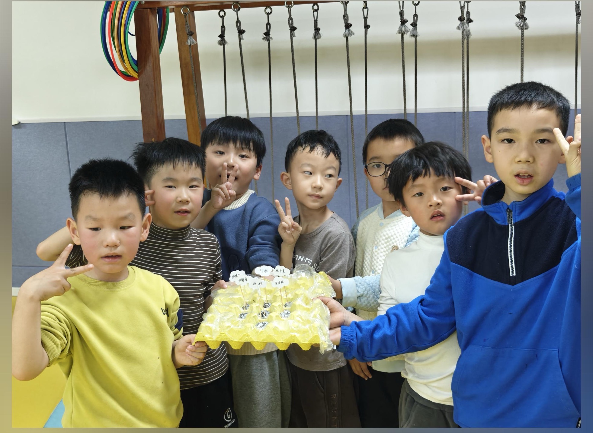 1742962599744621.jpg a22.jpg